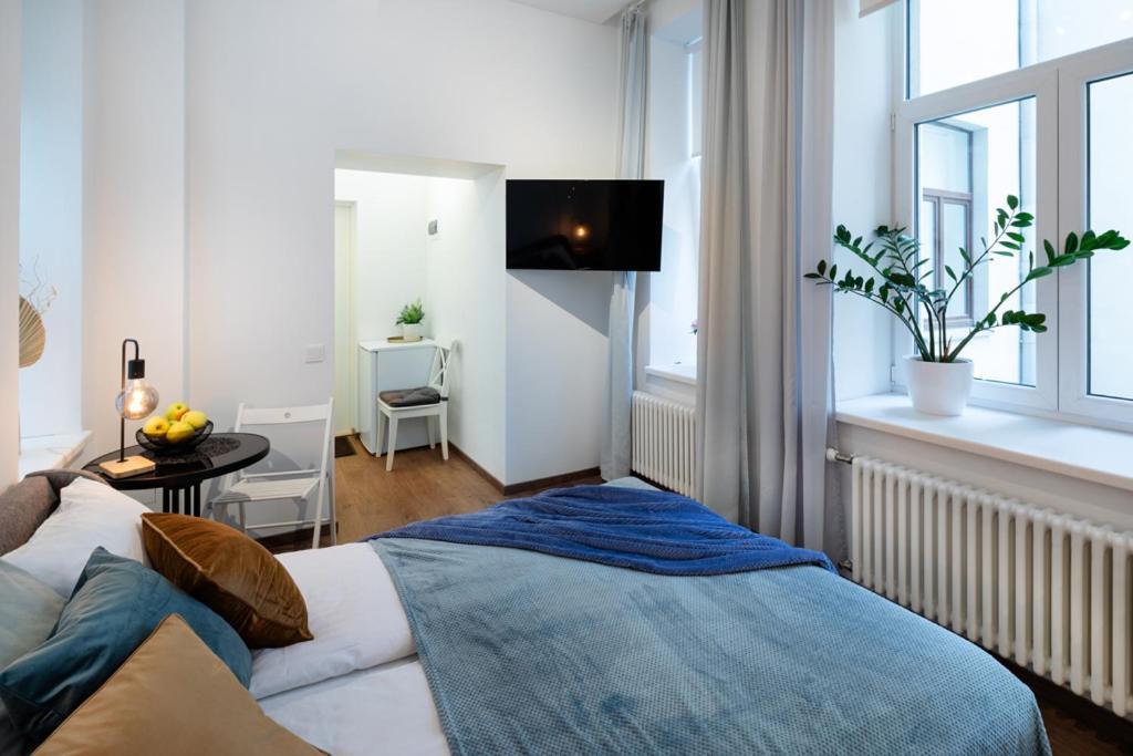 ריגה Kalnina Street Studio Apartment מראה חיצוני תמונה