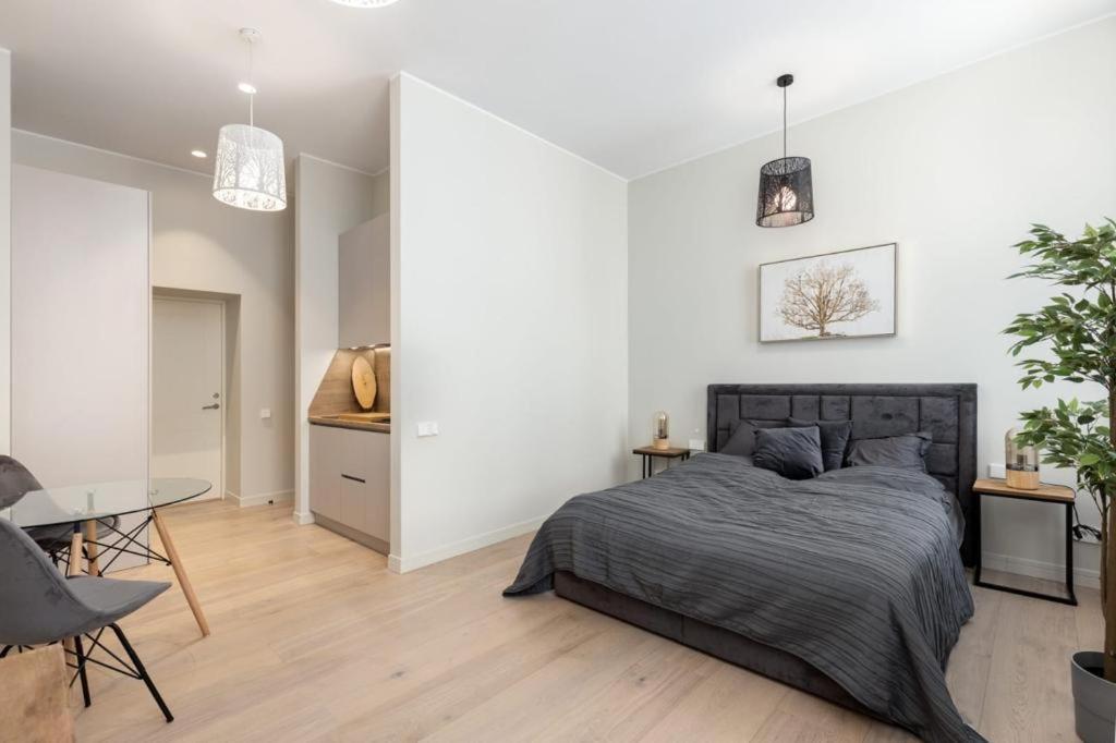 ריגה Kalnina Street Studio Apartment מראה חיצוני תמונה