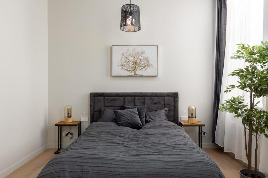 ריגה Kalnina Street Studio Apartment מראה חיצוני תמונה