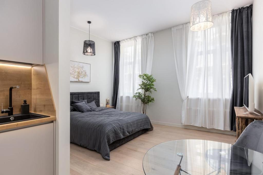 ריגה Kalnina Street Studio Apartment מראה חיצוני תמונה