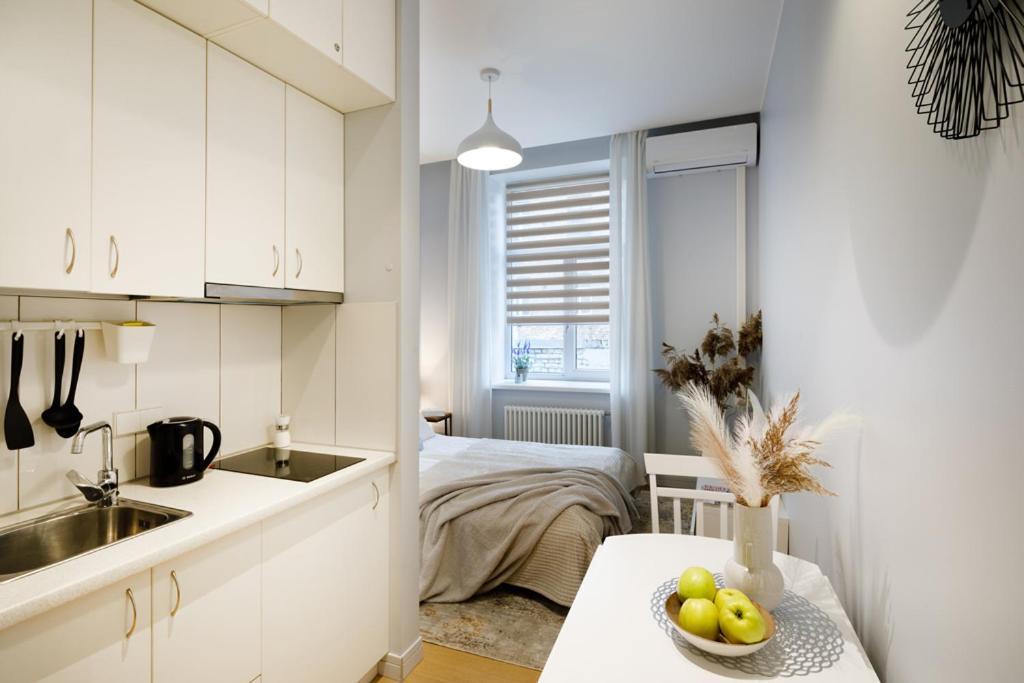 ריגה Kalnina Street Studio Apartment מראה חיצוני תמונה