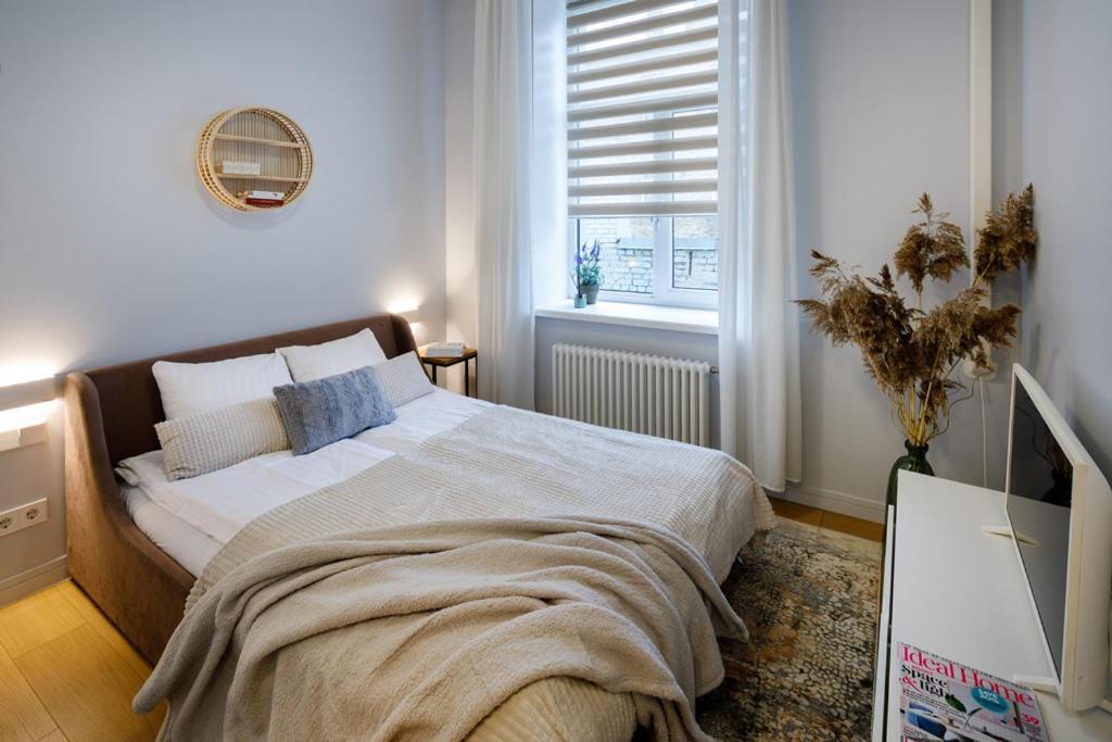 ריגה Kalnina Street Studio Apartment מראה חיצוני תמונה