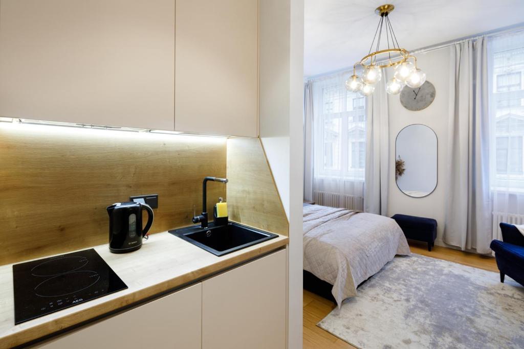 ריגה Kalnina Street Studio Apartment מראה חיצוני תמונה